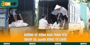 Đối tác - OKVIP - hình ảnh - okvipapps.com