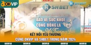 Đối tác - OKVIP - hình ảnh - okvipapps.com