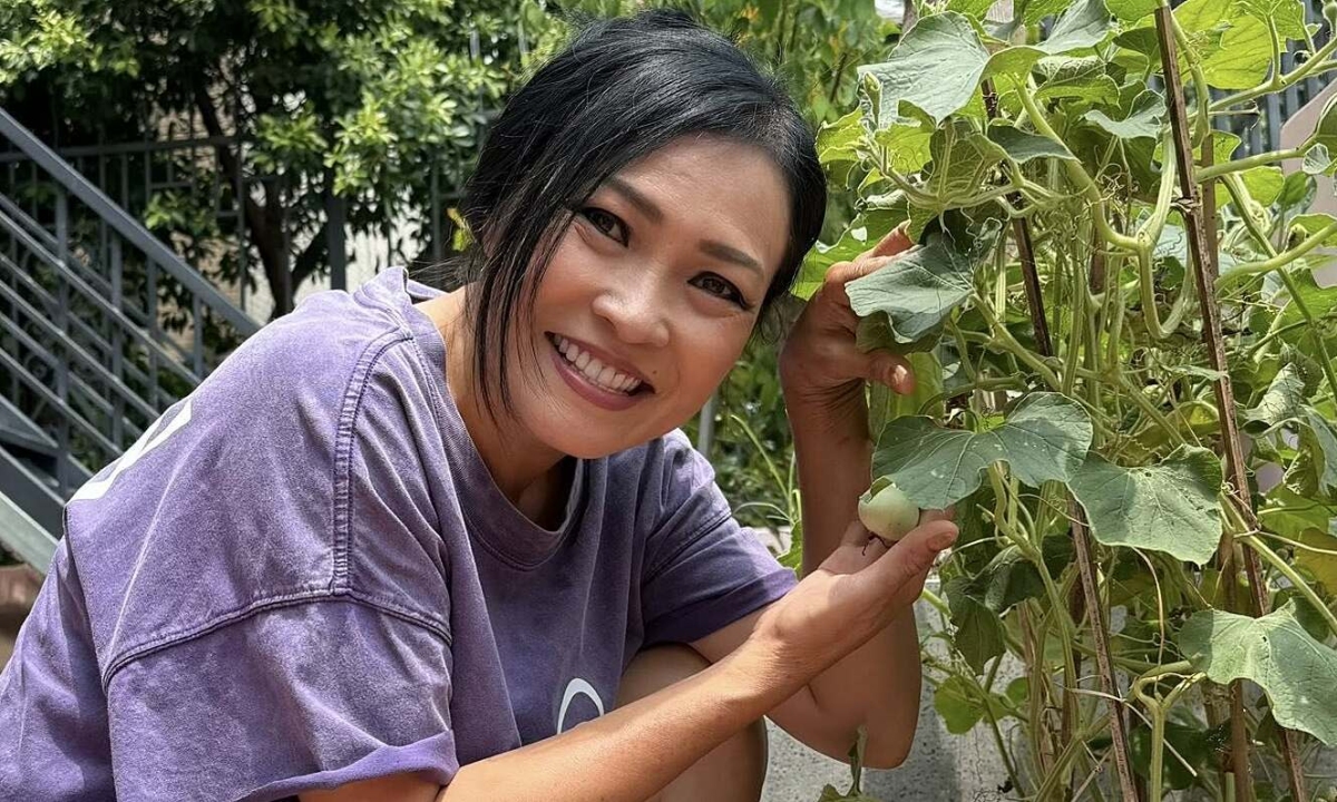 Thưởng đăng ký OKVIP và khám phá vườn rau sân thượng của Phương Thanh - hình ảnh - okvipapps.com Thưởng đăng ký OKVIP và khám phá vườn rau sân thượng của Phương Thanh - hình ảnh - okvipapps.com