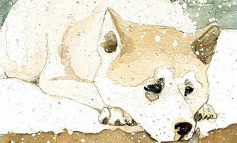 OKVIP bắn cá và bài học trung thành từ ‘Hachiko, chú chó đợi chờ’ - hình ảnh - okvipapps.com