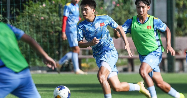 HLV Nhật Bản cảnh báo U.19 Việt Nam trước thềm giải Đông Nam Á 2026 - hình ảnh - okvipapps.com