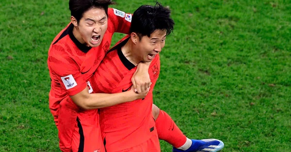 So tài Á – Phi ở World Cup 2026: Cơ hội nào cho cược thủ OKVIP? - hình ảnh - okvipapps.com
