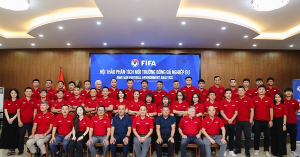 FIFA chỉ ra hướng phát triển bóng đá phong trào Việt Nam - hình ảnh - okvipapps.com