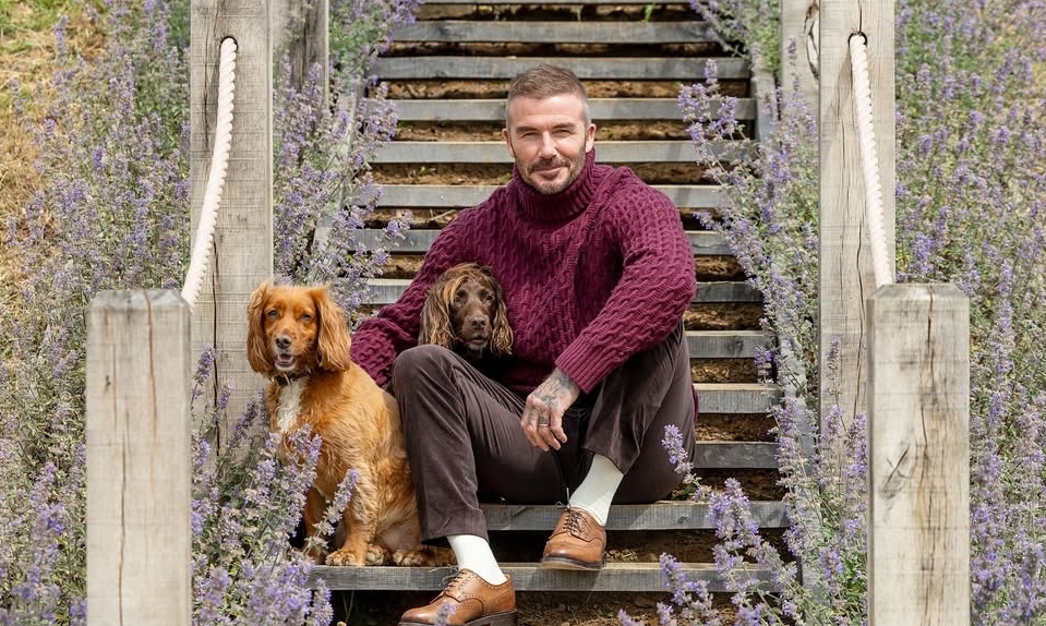 Phong Cách Mặc Giàu Ngầm Của David Beckham Và Cơ Hội Thưởng Đăng Ký OKVIP - hình ảnh - okvipapps.com
