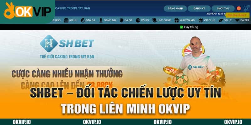 Hệ Sinh Thái OKVIP – Top 7 Đối Tác Chiến Lược Uy Tín - hình ảnh - okvipapps.com